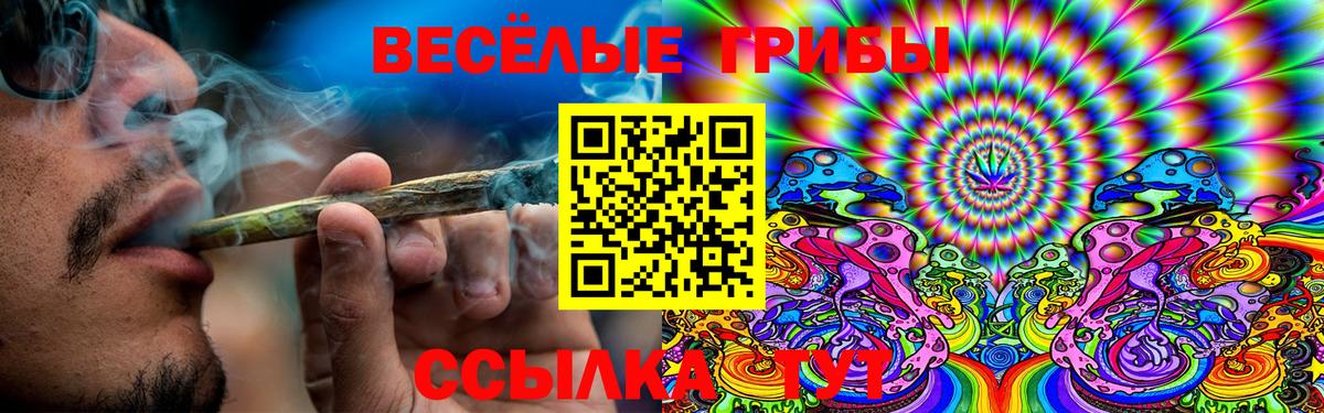 Псилоцибиновые грибы Psilocybine cubensis Удомля